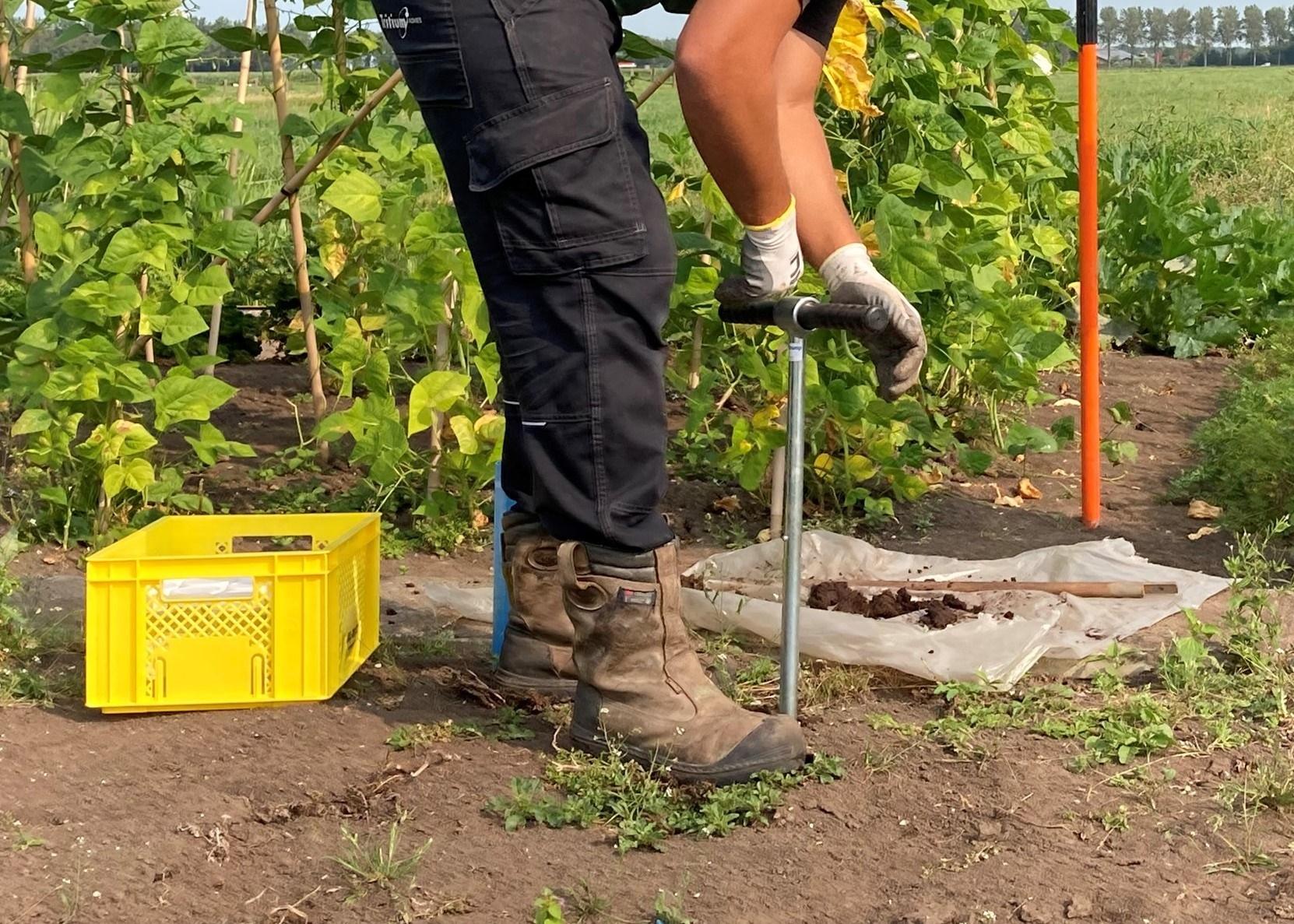 Bodemonderzoek met de grondboor