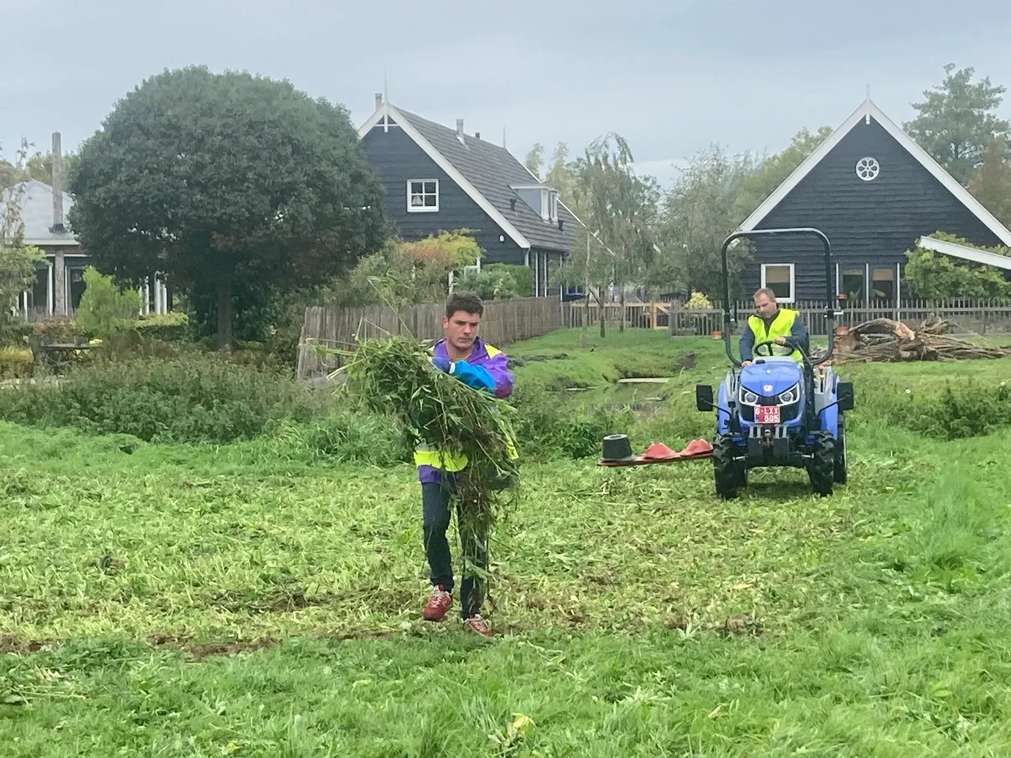 Hennep niet geschikt om PFOA uit moestuin te halen