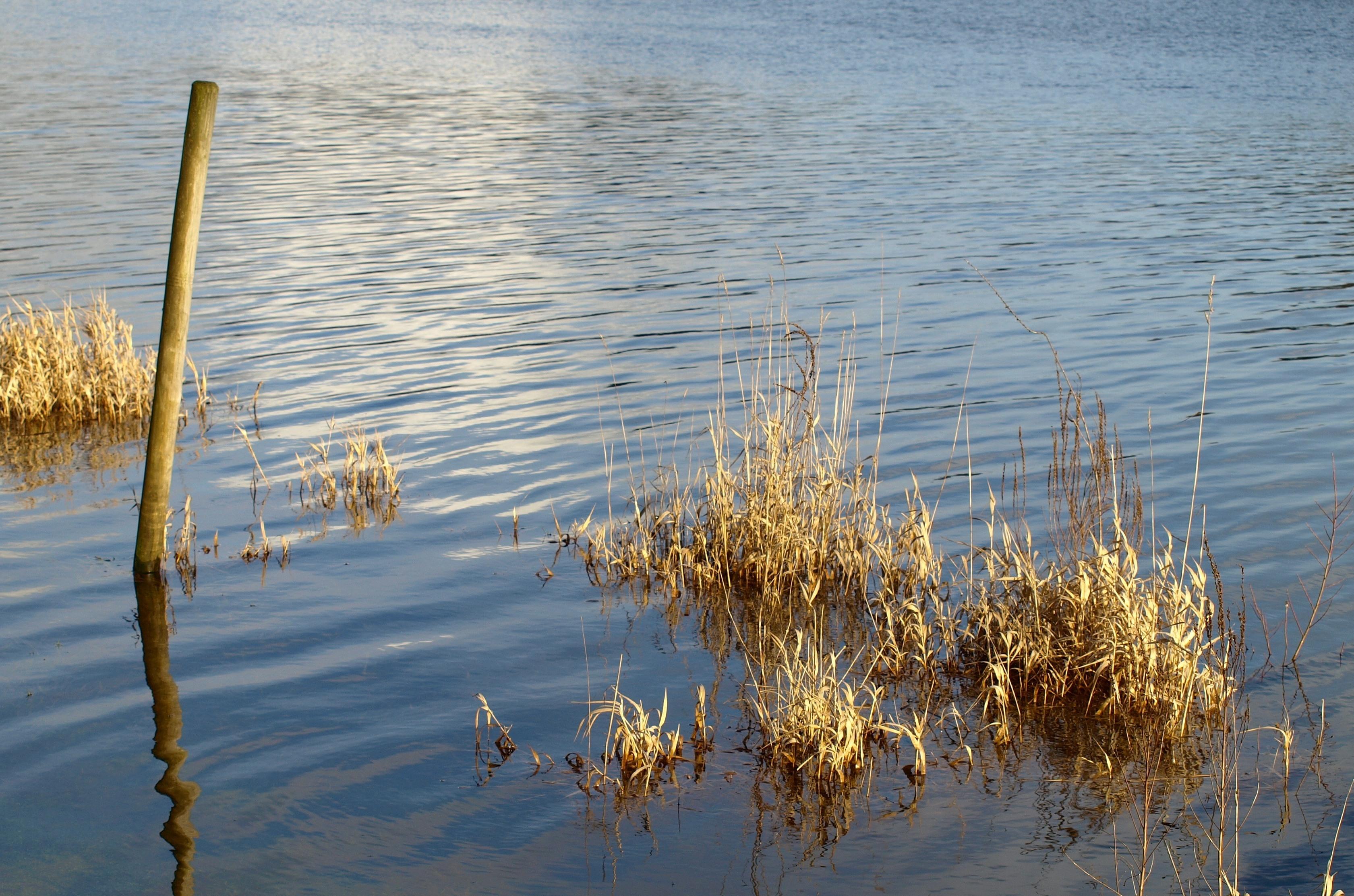 water_plas