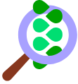 Illustratie 4